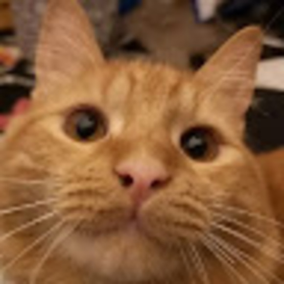 Meet your Posher, Drew - Picture 1 of 1